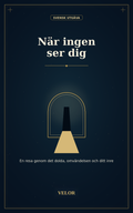 När ingen ser dig bokomslag - VELOR