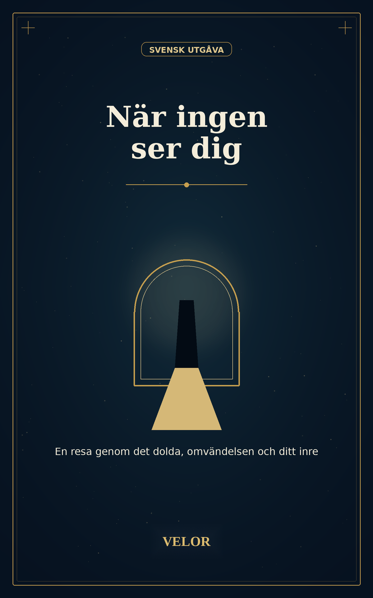 När ingen ser dig bokomslag - VELOR